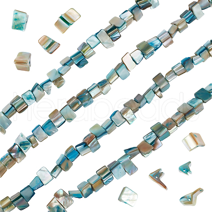Beebeecraft 4 Strands Dyed Natural Freshwater Shell Beads Strands SHEL-BBC0001-14B-1