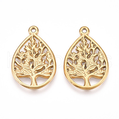 304 Stainless Steel Pendants STAS-N109-41G-1