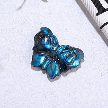 Natural Labradorite Display Decorations DJEW-PW0009-008G-1