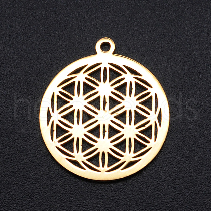 304 Stainless Steel Sacred Geometry Pendants STAS-S105-JN899-2-1
