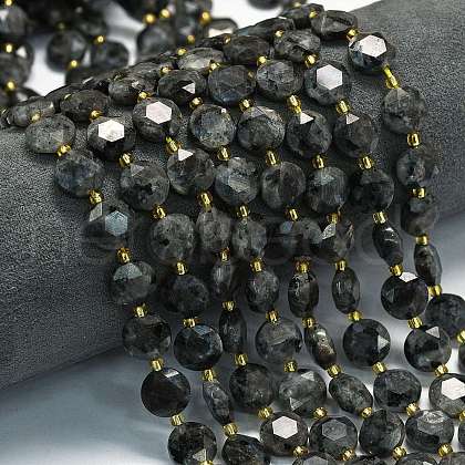 Natural Larvikite Beads Strands G-C116-A155-01-1