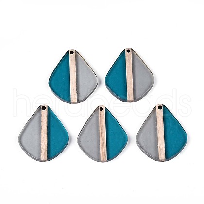 Transparent Resin & Wood Pendants RESI-T057-55A-1