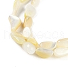 Natural Trochus Shell Beads Strands BSHE-H109-05-4
