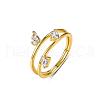 Sterling Silver Pave Cubic Zirconia FB4361-2-1