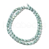 Electroplate Glass Beads Strands GLAA-D013-05A-3