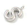 Non-Tarnish 304 Stainless Steel Pendants X-STAS-C102-15P-S-2