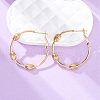 304 Stainless Steel Oval Hoop Earrings EJEW-Z098-30G-2