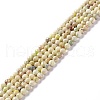 Natural Imperial Jasper Beads Strands G-L578-A07-1