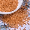 MIYUKI Round Rocailles Beads X-SEED-G007-RR0423-1