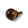 Natural Tiger Eye Round Pendants with Alloy Witch Hat G-D311-01AB-04-2