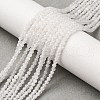 Natural Rainbow Moonstone Beads Strands G-B142-A04-2mm-1
