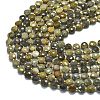 Natural Silver Leaf Jasper Beads Strands G-K389-B83-01-3