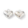 925 Sterling Silver Charms STER-H106-01B-S-1