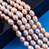 Natural Cultured Freshwater Pearl Beads Strands PEAR-N012-06H-6