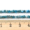 Natural Apatite Beads Strands G-P457-B01-14-7