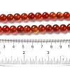 Natural Carnelian Beads Strands G-G390-8mm-03-3