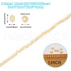  1 Strand Natural Trochus Shell Rondelle Beads Strands SSHEL-TA0001-16B-3