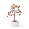 Mother's Day Natural Gemstone Chips with Brass Wrapped Wire Money Tree on Ceramic Vase Display Decorations DJEW-B007-02F-1