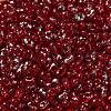 Spray Painted Glass Seed Beads SEED-F005-11A-02-3