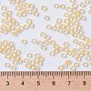 MIYUKI Round Rocailles Beads X-SEED-G008-RR0202-4