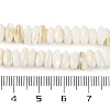 Natural Anomaly Freshwater Shell Beads Strands BSHE-S304-05A-4