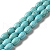 Natural Howlite Beads Strands G-C025-08-1
