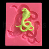 Food Grade Silicone Molds DIY-K011-16-4