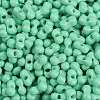Baking Paint Glass Seed Beads SEED-K010-A07-2