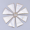 Electroplate Freshwater Shell Big Pendants SHEL-S276-66-1