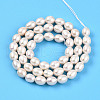 Natural Cultured Freshwater Pearl Beads Strands PEAR-N012-06Z-3