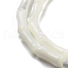 Natural Trochid Shell/Trochus Shell Beads Strands BSHE-G038-03-4