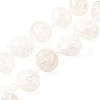 Natural Crackle Quartz Beads Strands G-H312-B01-2
