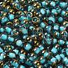 Glass Seed Beads X1-SEED-H002-B-D223-3