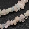 Chips Natural Colorful Morganite Beads Strands G-N0164-59-2