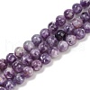Natural Lepidolite Beads Strands G-U026-A06-8mm-2