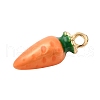 Alloy Enamel Pendants FIND-I044-01D-2