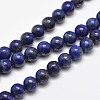 Natural Lapis Lazuli Round Bead Strands X-G-E262-01-12mm-1