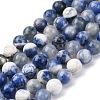 Natural Sodalite Round Bead Strands G-E334-8mm-08-4