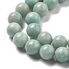Natural Amazonite Beads Strands G-L618-A01-10mm-4