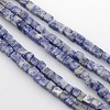 Cube Natural Blue Spot Jasper Beads Strands G-P057-05-1