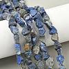 Raw Rough Natural Lapis Lazuli Beads Strands G-M453-C08-1
