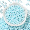 Glass Seed Beads X1-SEED-L011-03A-05-2