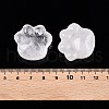 Natural Quartz Crystal Cat Paw Print Figurines DJEW-N003-03J-4