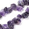 Natural Amethyst Beads Strands G-I283-D04-1