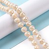 Electroplate Glass Beads Strands X-GLAA-E036-14A-2