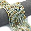 Natural Flower Amazonite Beads Strands G-A260-A32-01-1