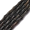 Natural Biotite Beads Strands G-L624-G09-12x5mm-2