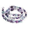 Natural Fluorite Beads Strands G-B048-A01-02-4