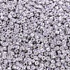 MIYUKI Delica Beads X-SEED-J020-DB0429-3