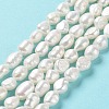 Natural Keshi Pearl Beads Strands PEAR-Z002-17-2